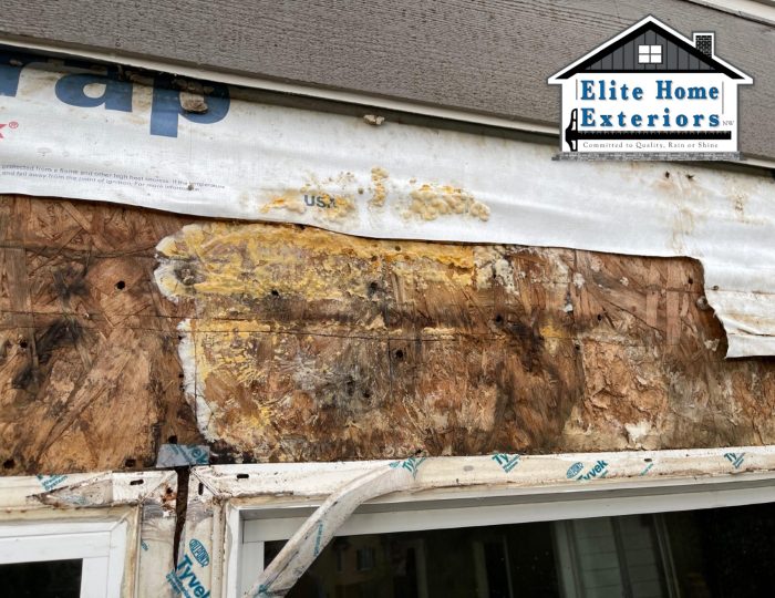How to Prevent Mold and Mildew on Your Siding